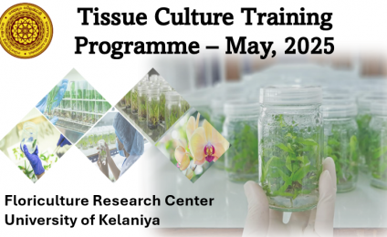 Training Program on Plant Tissue Culture Techniques Held at the University of Kelaniya